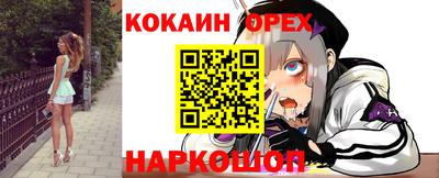 гидра Будённовск