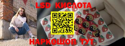 гидра Будённовск