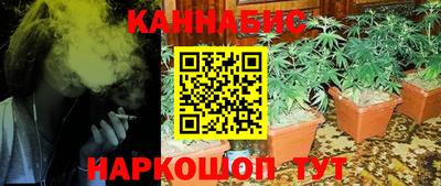 гидра Будённовск