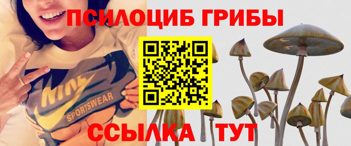 Галлюциногенные грибы мицелий  Псилоцибиновые грибы Cubensis  Кыштым  Вход с VPN 
